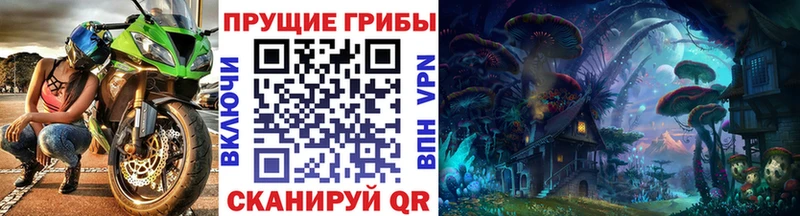где найти наркотики  Ижевск  Галлюциногенные грибы GOLDEN TEACHER 